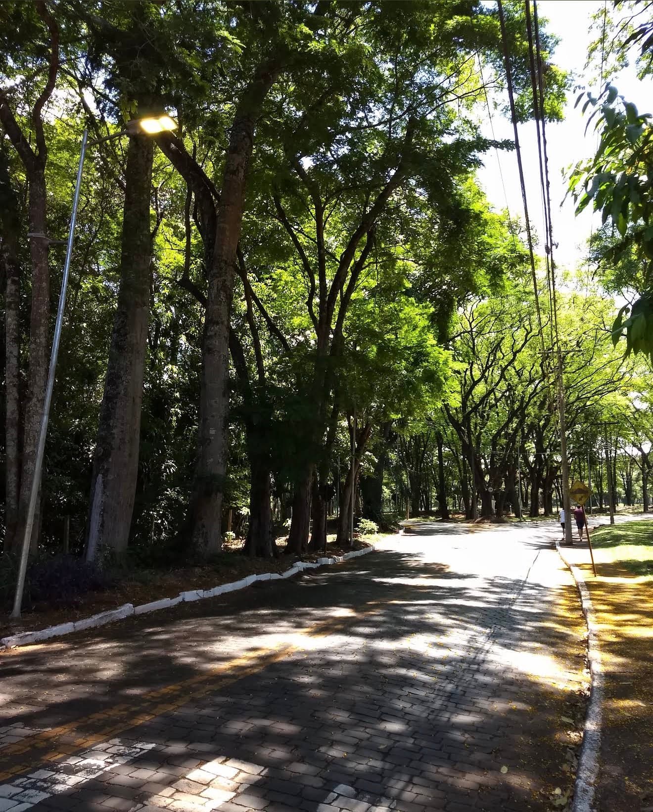 Foto de Campus da USP Ribeirão Preto