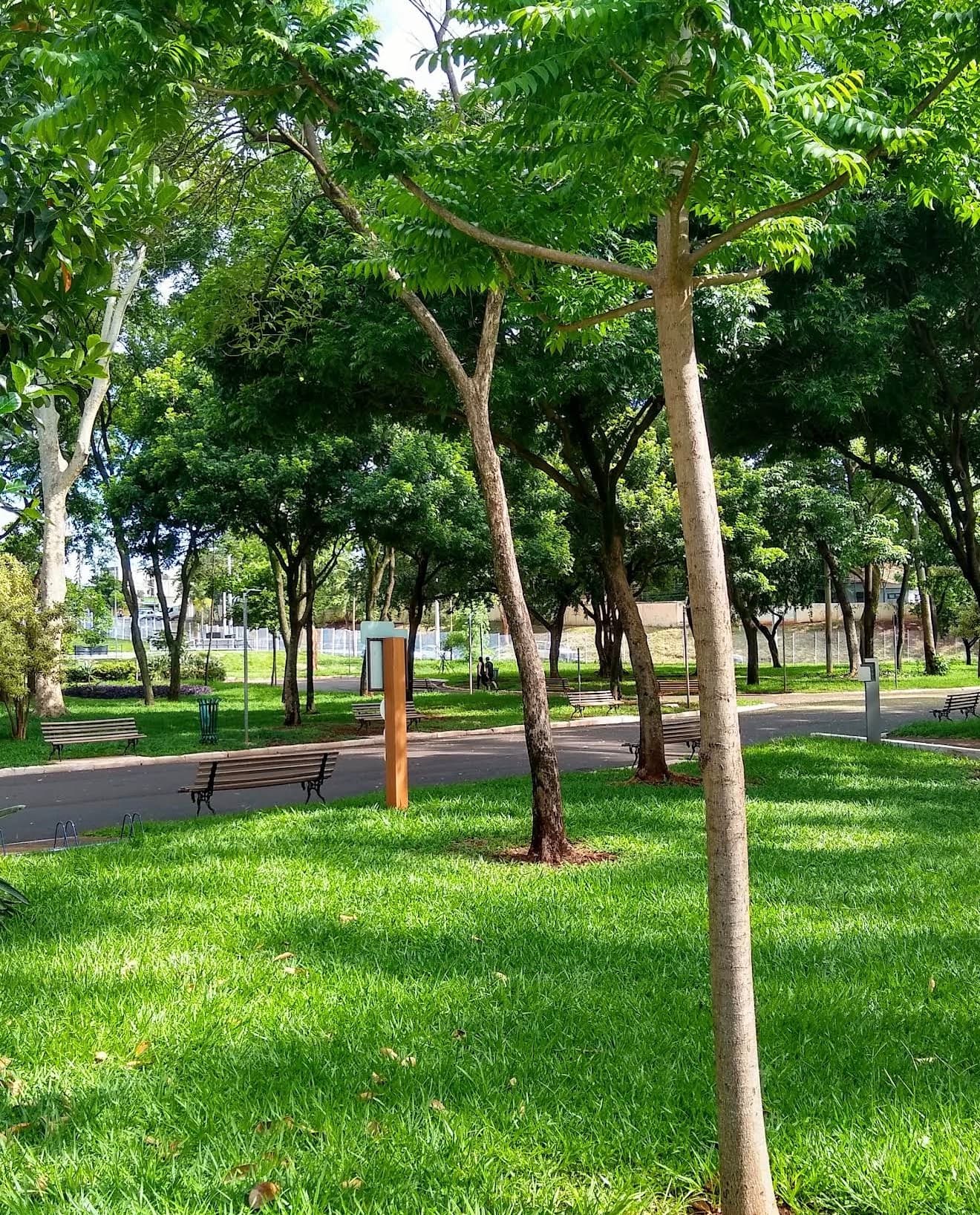 Foto de Parque Maurílio Biagi