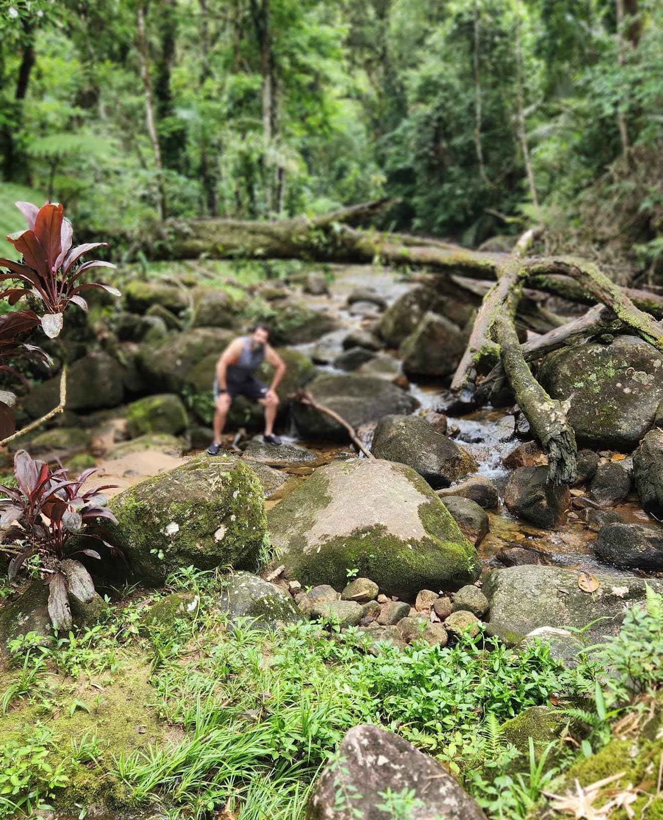 Foto de Cachoeira do Ipiranguinha