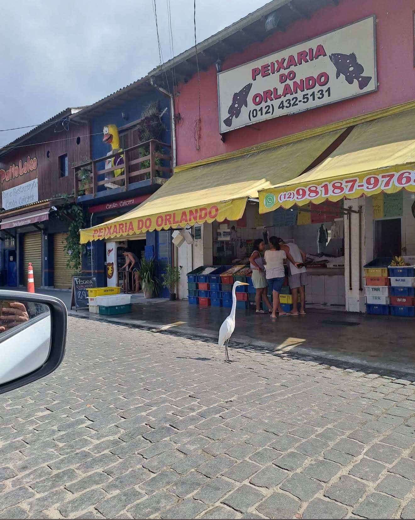 Foto de Mercado Municipal de Peixes