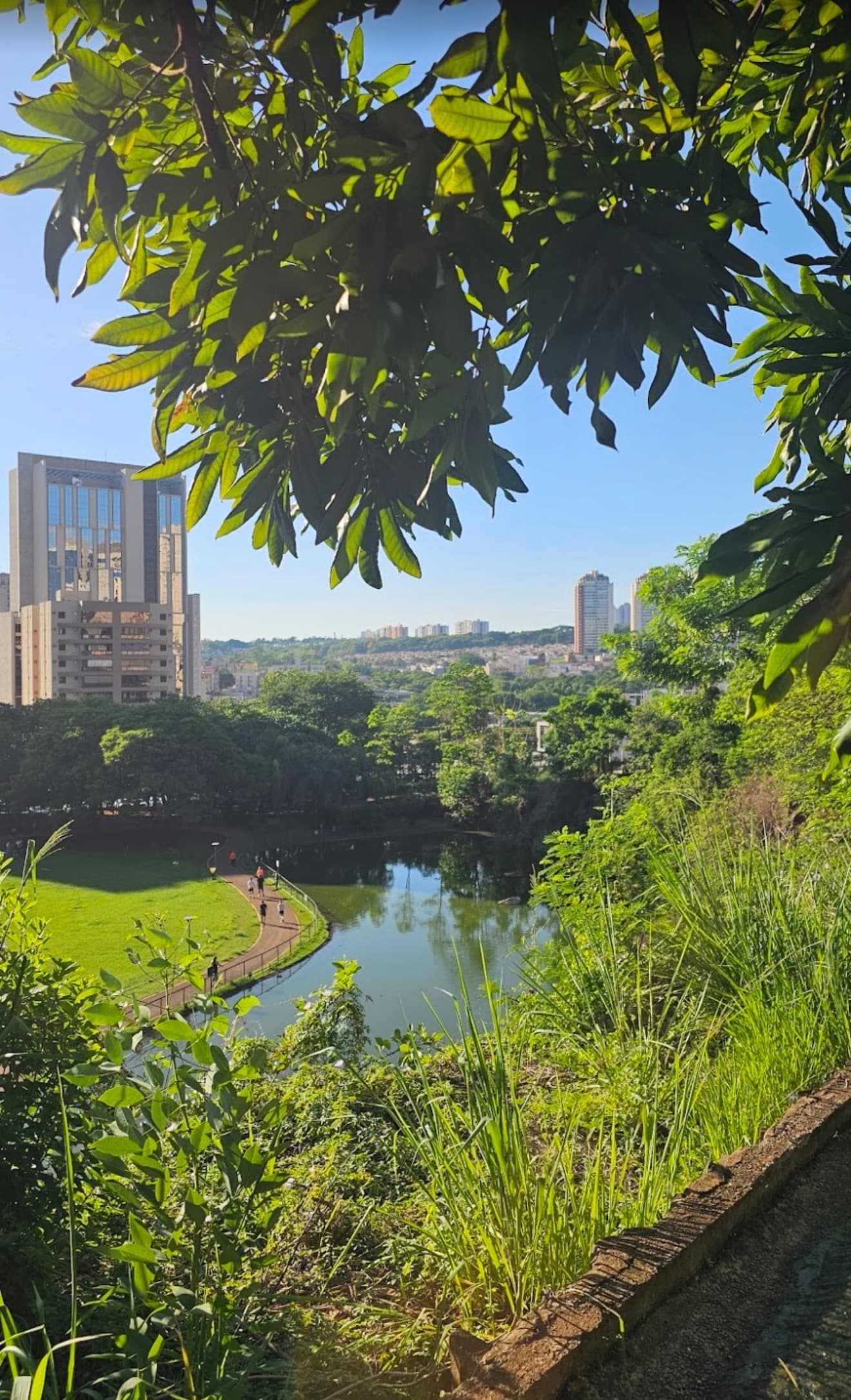Foto de Parque Municipal Dr. Luis Carlos Raya