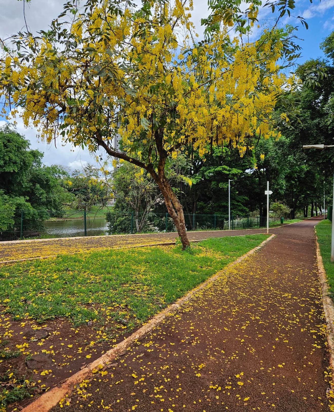 Foto de Parque das Artes