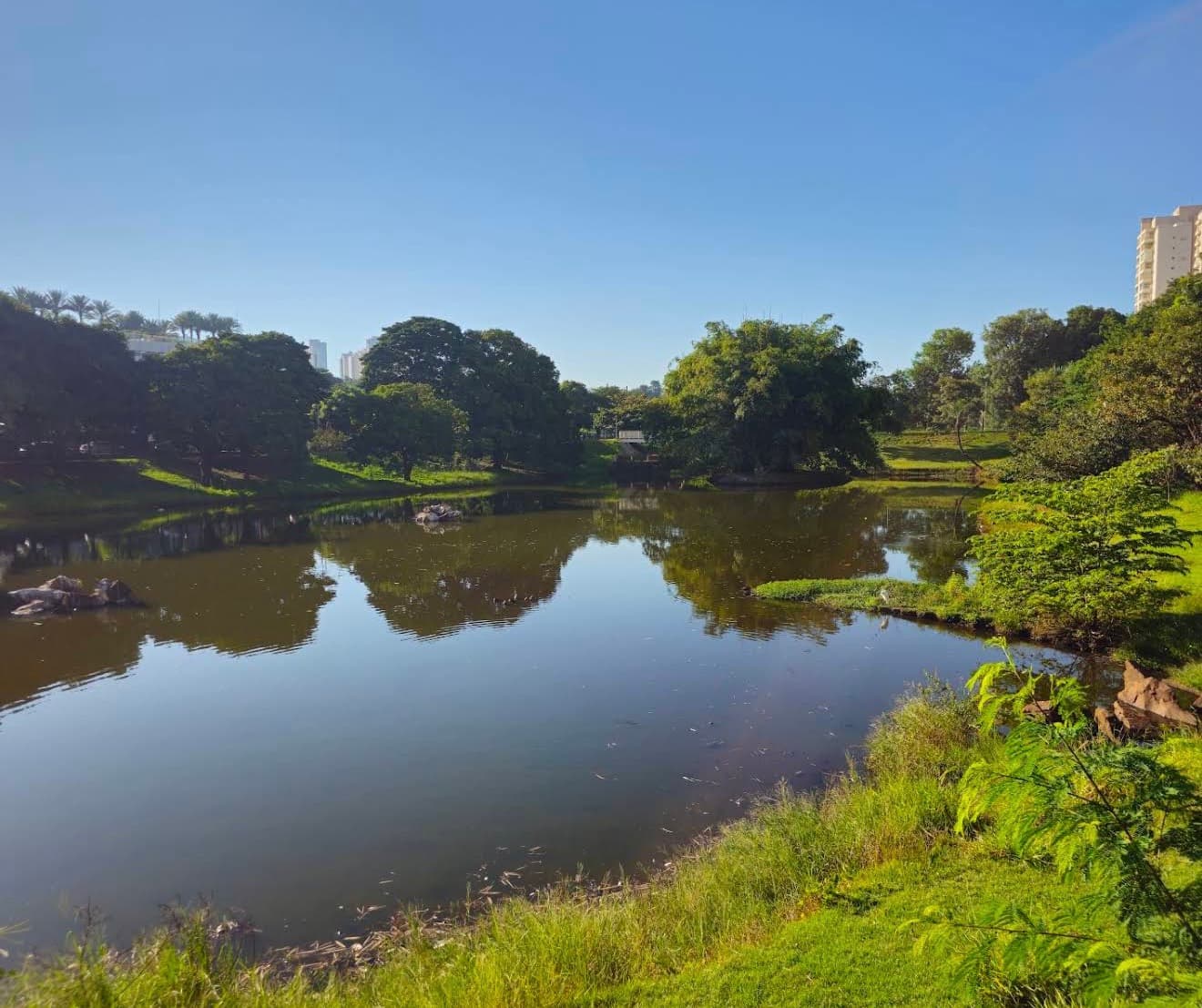 Foto de Parque das Artes