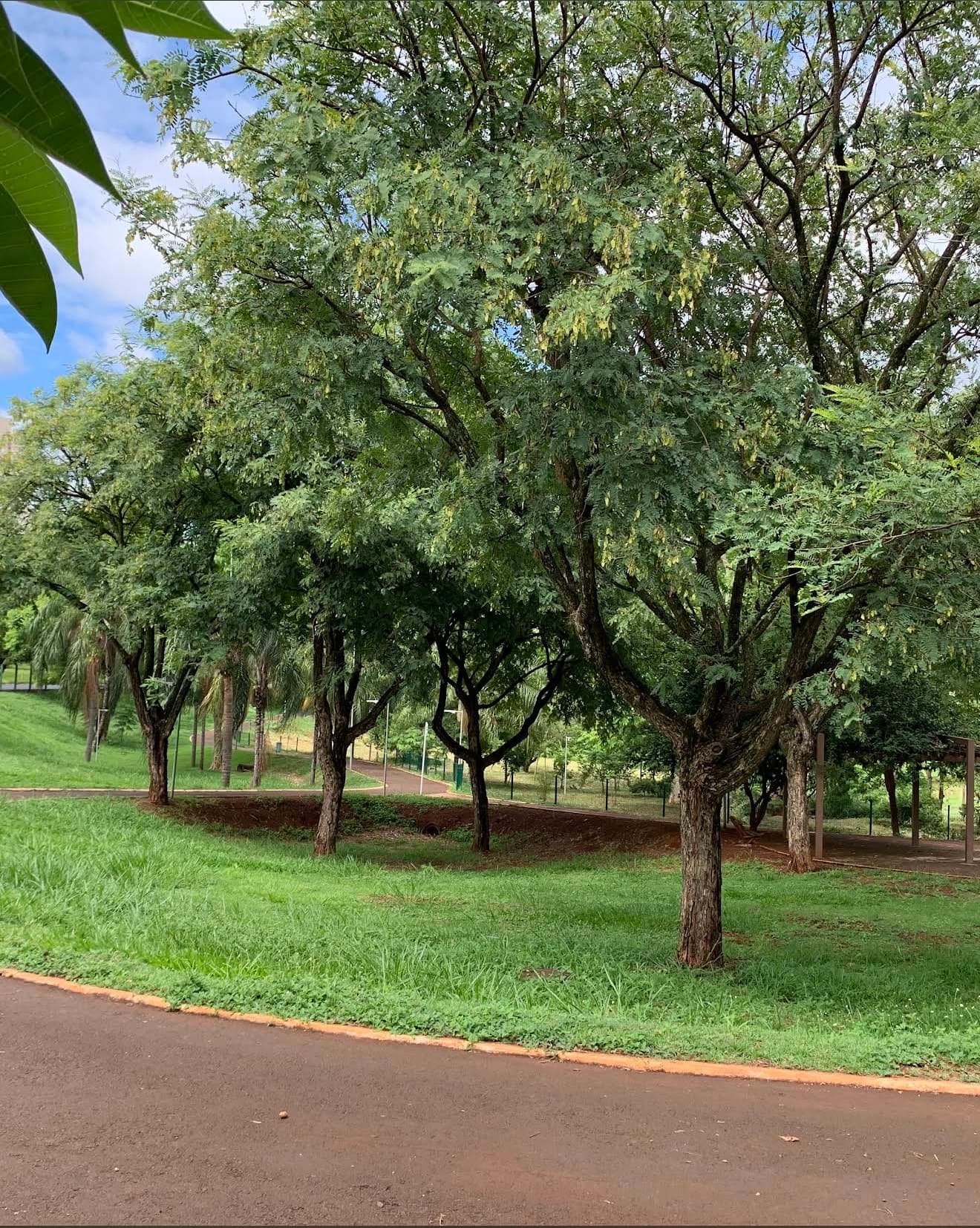 Foto de Parque das Artes