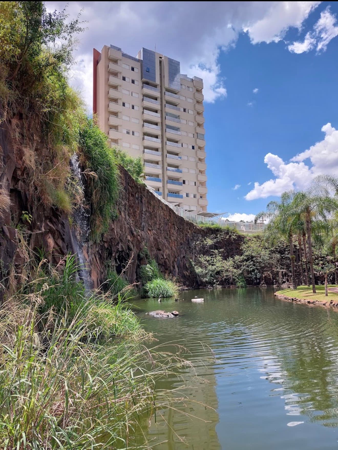 Foto de Parque Municipal Dr. Luis Carlos Raya