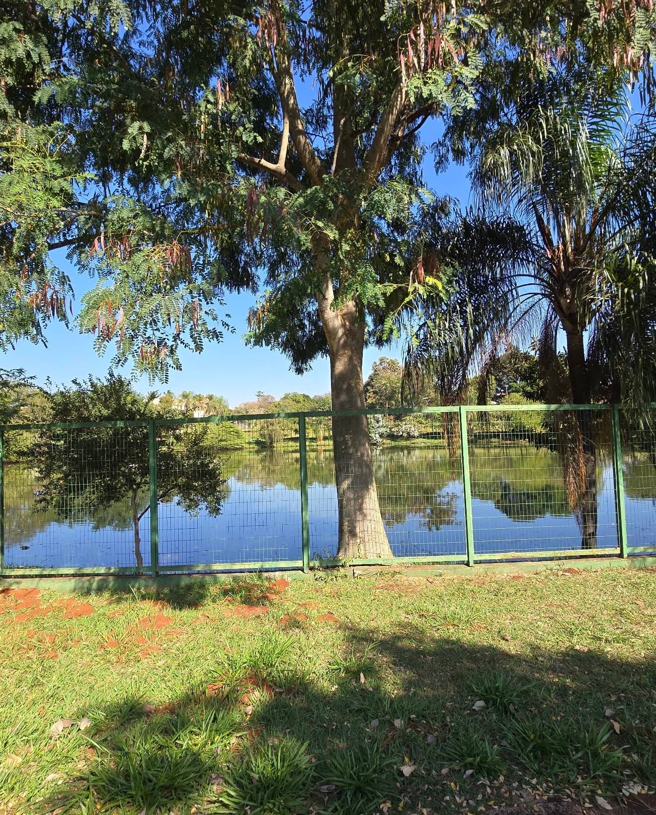 Foto de Parque Tom Jobim