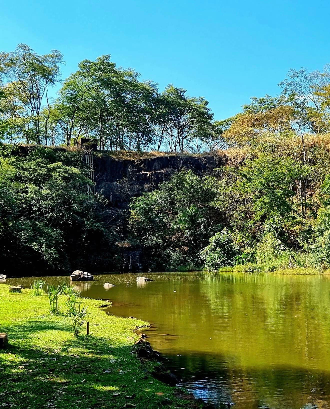 Foto de Parque Curupira (Prefeito Luiz Roberto Jábali)
